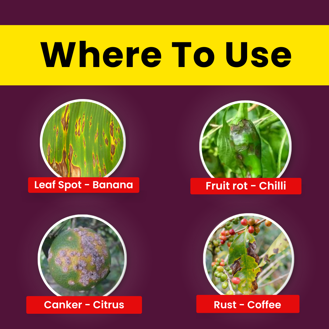 Katyayani COC 50 | Copper Oxychloride 50% WP | Fungicide for Rust Disease