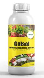 Katyayani Calsol - Calcium Solubilizing Bacteria