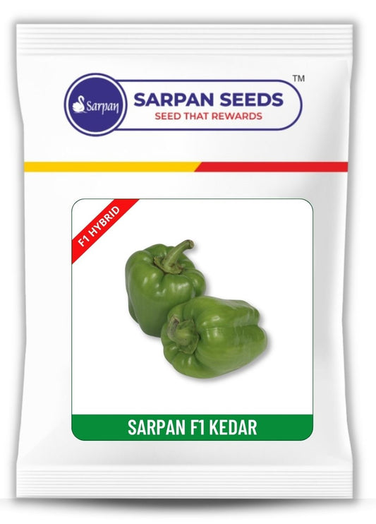 Baby Capsicum Sarpan Kedar