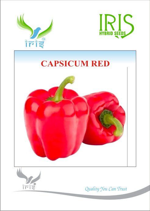 Iris Imported Red Capsicum - 10 grams