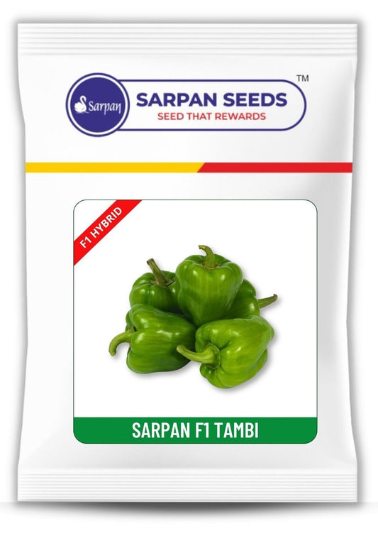 Baby Capsicum Sarpan F1 Tambi