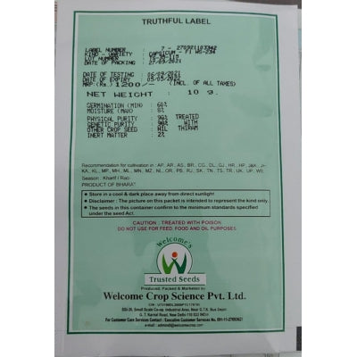 Capsicum WS-234