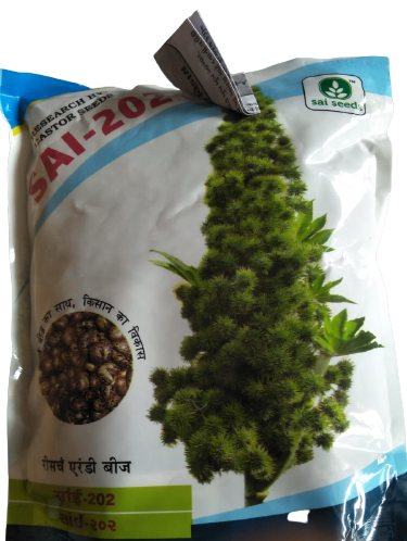 Castor / Aerandi Sai-202