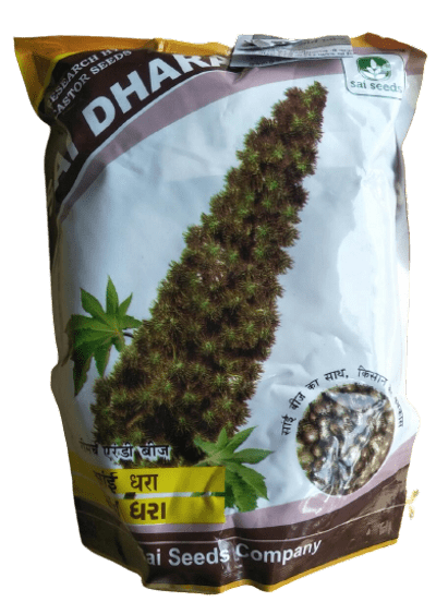 Castor / Aerandi Sai Dhara