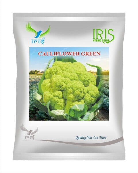 Iris OP Cauliflower Green 10 grams