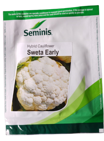 Cauliflower Sweta Early