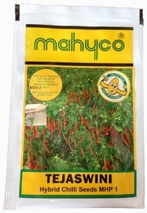 Chilli / Hot Pepper Tejaswini MHP 1
