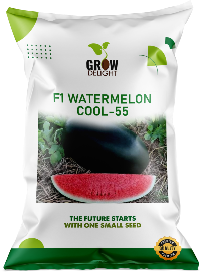 Watermelon F1 Cool-55