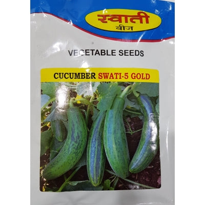 Cucumber Swati-5 Gold