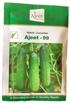 Cucumber Ajeet-99