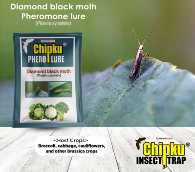 Chipku Diamond Black Moth Lure