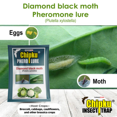 Chipku Diamond Black Moth Lure