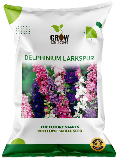 Grow Delight Imported Delphinium Larkspur - 600 seeds