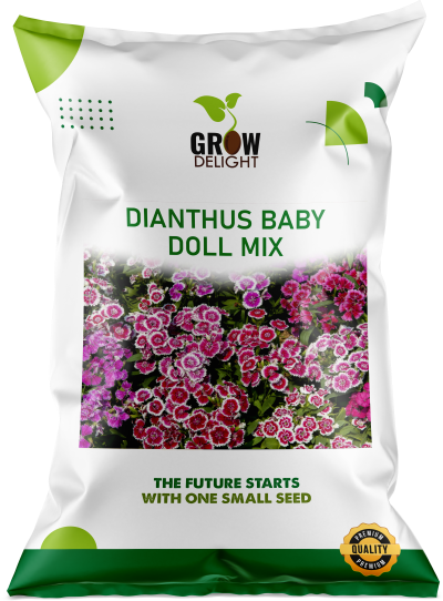 Grow Delight Imported Dianthus Baby Doll Mix - 200 seeds