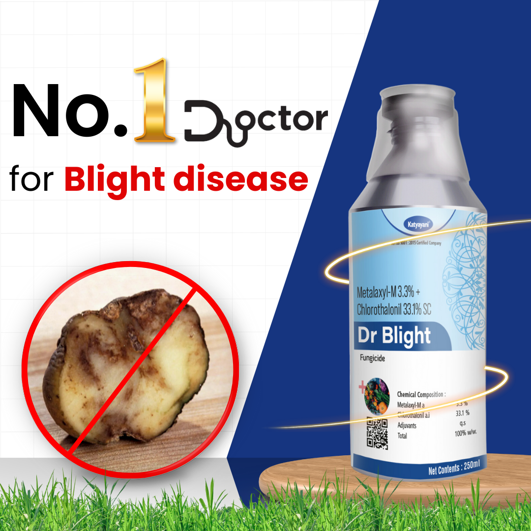 Katyayani Dr Blight - Metalaxyl-M 3.3% + Chlorothalonil 33.1% SC