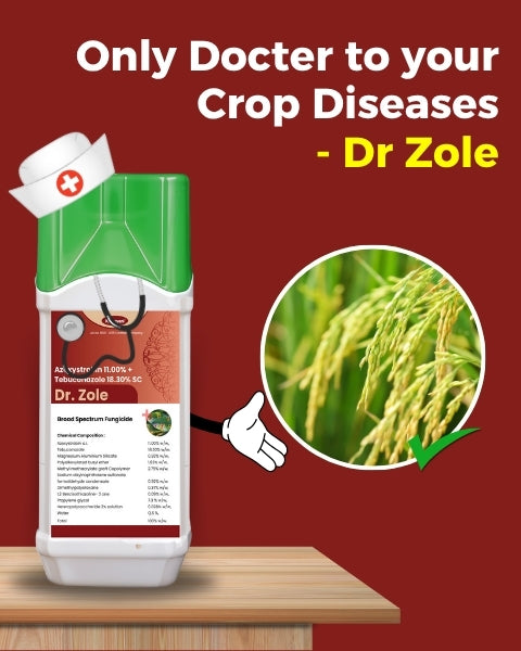 Katyayani Dr. Zole - Azoxystrobin 11.00% + Tebuconazole 18.30% SC
