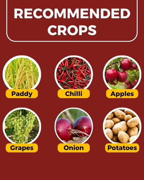 Katyayani Dr. Zole - Azoxystrobin 11.00% + Tebuconazole 18.30% SC