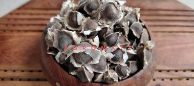 Agromate Moringa Drumstick Tree Seeds 50 grams