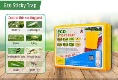 ECO Sticky Trap pack of 25 pieces