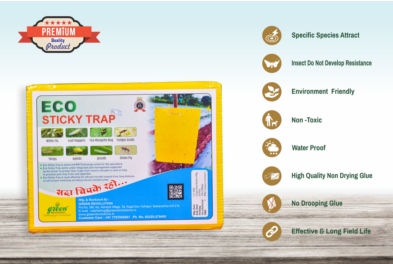 ECO Sticky Trap pack of 25 pieces