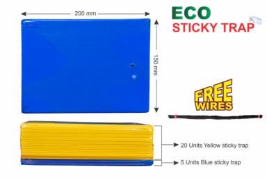 ECO Sticky Trap pack of 25 pieces