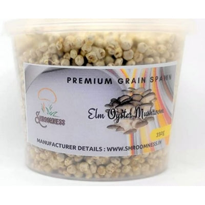 SporeKart Shroomness Elm Oyster Mushroom Spawn