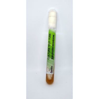 SporeKart Shroomness Elm Oyster Mushroom Culture in Test-tube