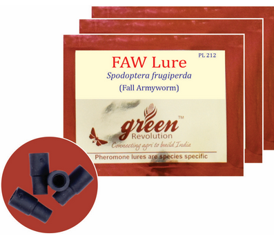 Combo Pack of Funnel Pheromone Trap + FAW Pheromone Lure