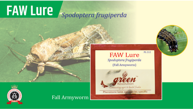 FAW Lure / Spodoptera Frugiperda Pheromone Lure