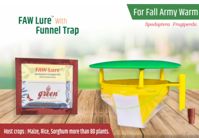 Combo Pack of Funnel Pheromone Trap + FAW Pheromone Lure