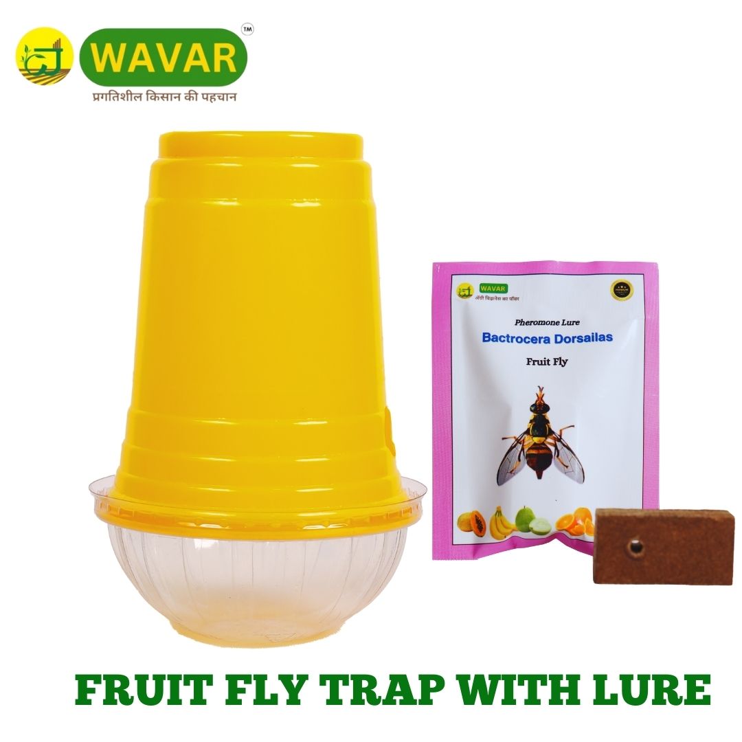 Wavar Fruit Fly Trap with Bactrocera Dorsalis Lure