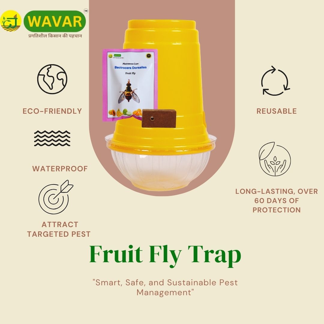 Wavar Fruit Fly Trap with Bactrocera Dorsalis Lure