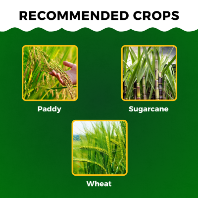 Katyayani Fantasy GR -  Fipronil 0.3% GR