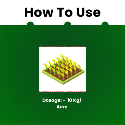 Katyayani Fantasy GR -  Fipronil 0.3% GR
