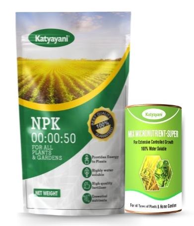 Katyayani Fasal Mitash Badawar Combo