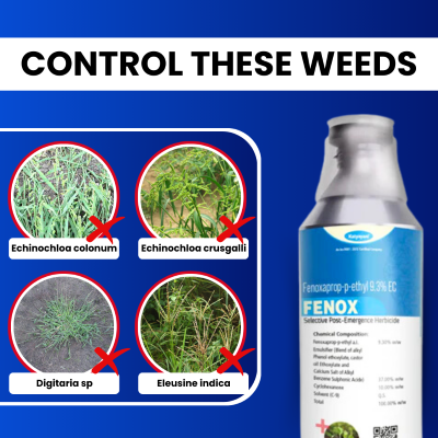 Katyayani Fenox - Fenoxaprop-p-ethyl 9.3% EC