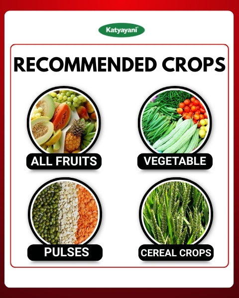 Katyayani Finish IT - All in One Larvicide | Organic Insecticde