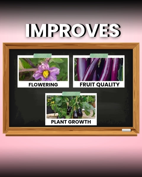 Katyayani Flowering Booster Fertilizer + Mix Micro 10 grams | Organic Fertilizers