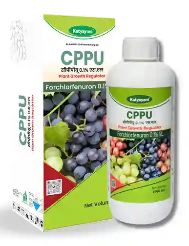 Katyayani CPPU - Forchlorfenuron 0.1%