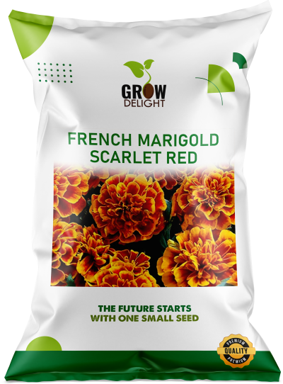 Grow Delight Imported French Marigold Scarlet Red - 600 seeds