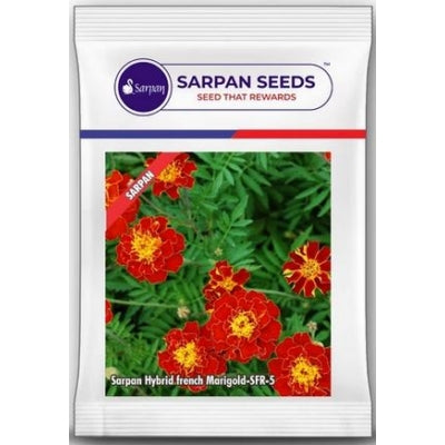 Marigold Sarpan Hybrid French SFR-5