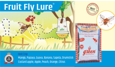 Fruit Fly Lure