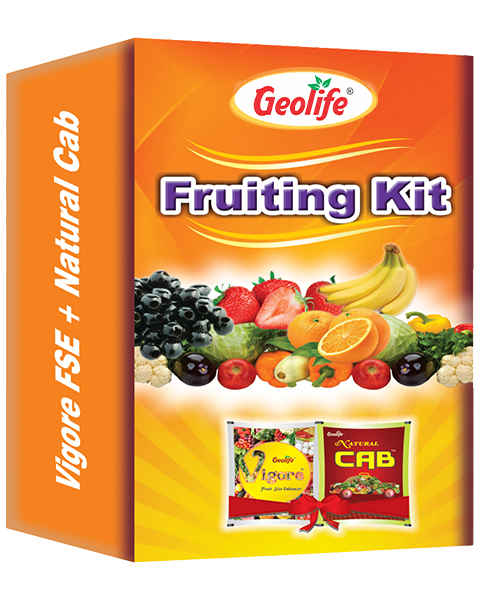 Geolife Fruiting Booster Growth Kit (Vigore FSE 10 Grams + Natural CAB 50 Grams)