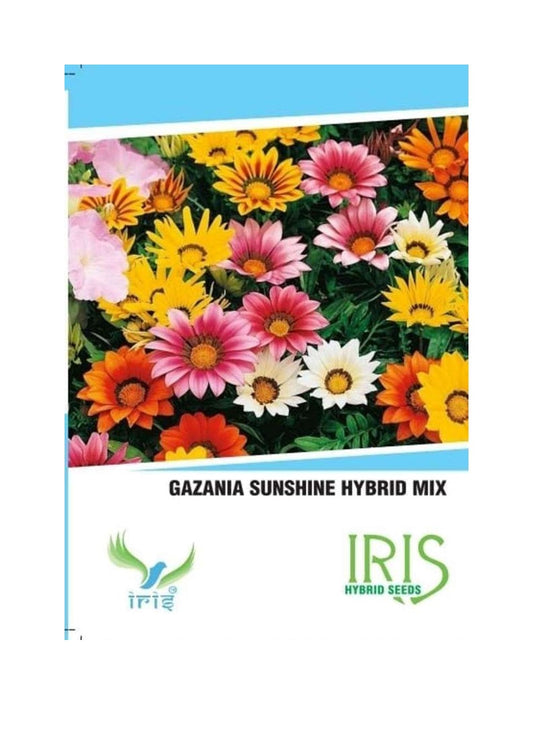 Iris Imported Gazania Sunshine Mix 20 Seeds