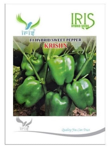 Capsicum F1 Iris Krishn