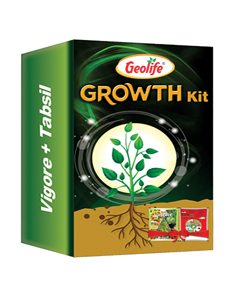 Geolife Growth Kit (Vigore 250 grams + Tabsil 200 grams)
