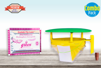Combo Pack of Funnel Pheromone Trap + Gulabi Fly Pheromone Lure