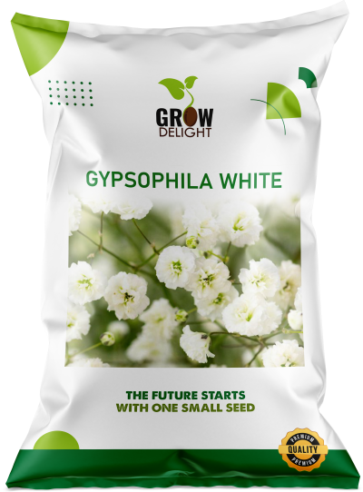 Grow Delight Imported Gypsophila White - 200 seeds