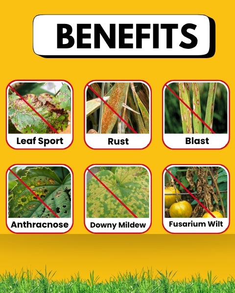 Katyayani Hexa 5 Plus - Hexaconazole 5% SC