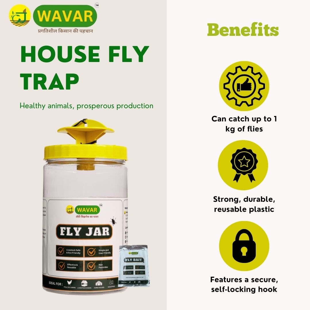 Wavar House Fly Trap with Lure